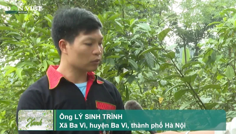 Báo Dân Việt
