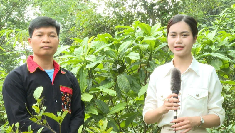 Góc chuyên gia Dân Việt